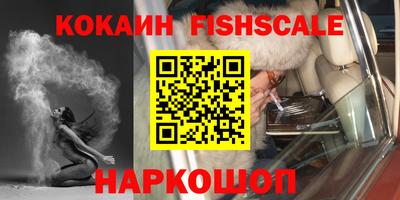 крисы Сланцы