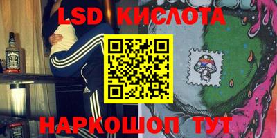 крисы Сланцы
