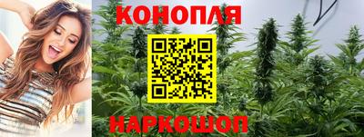крисы Сланцы
