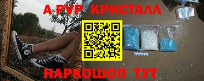 крисы Сланцы