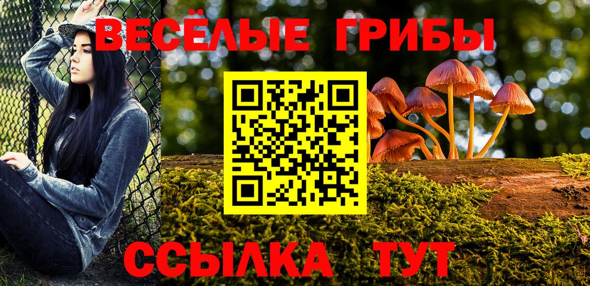 Псилоцибиновые грибы Psilocybe  Вход с VPN  Похвистнево  Галлюциногенные грибы мухоморы 
